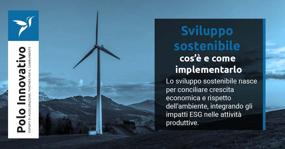 Sviluppo sostenibile: cos’è e come implementarlo