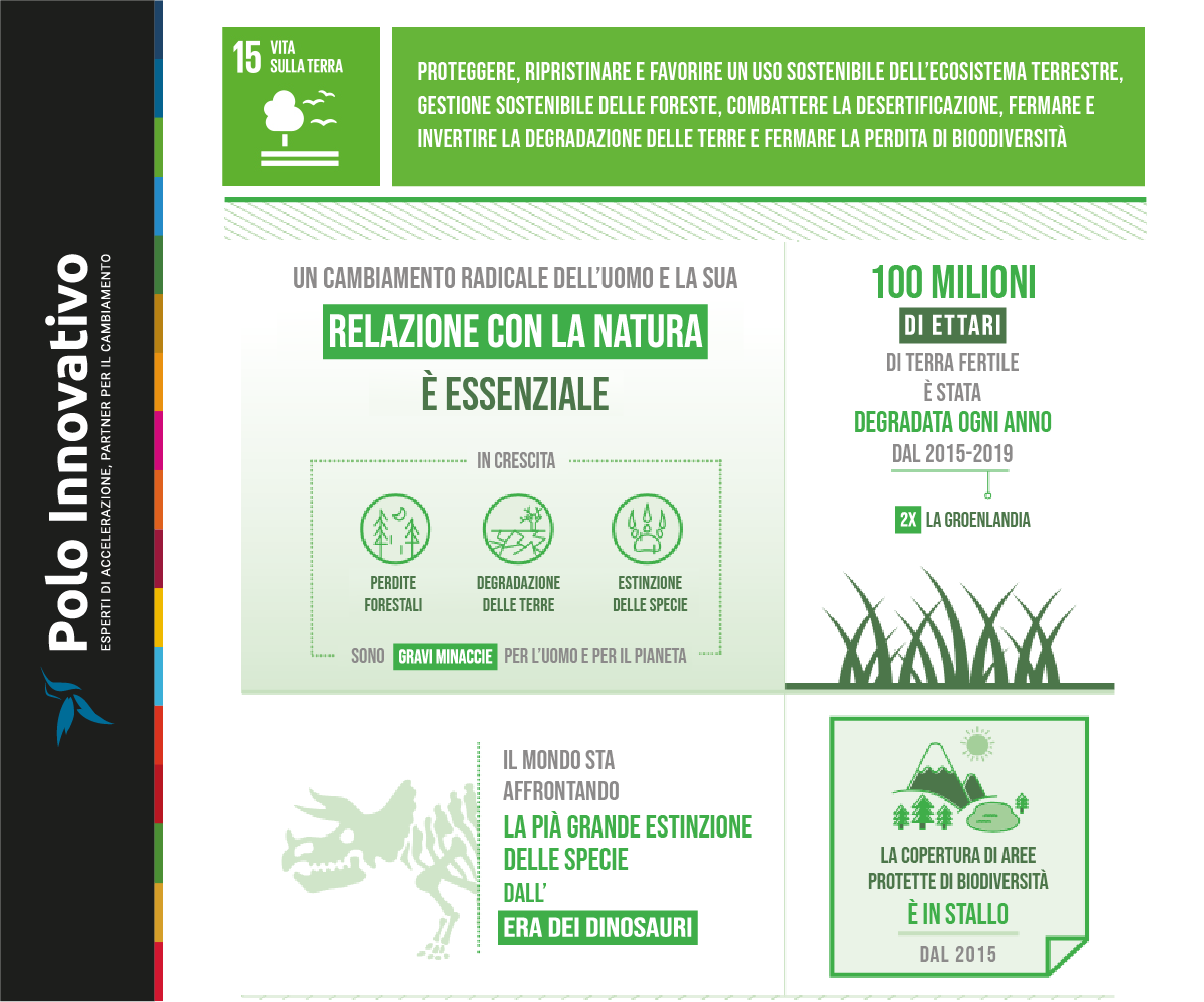 A che punto siamo con SDG 15: Vita sulla terra - Polo Innovativo