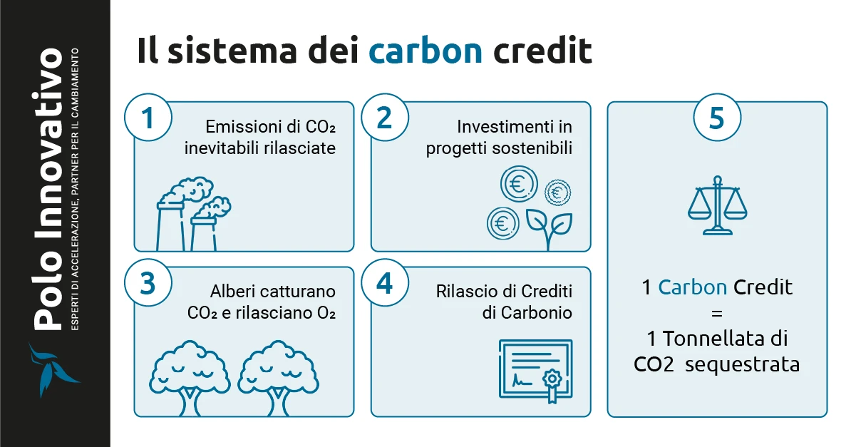 Il sistema dei carbon credit - Polo Innovativo