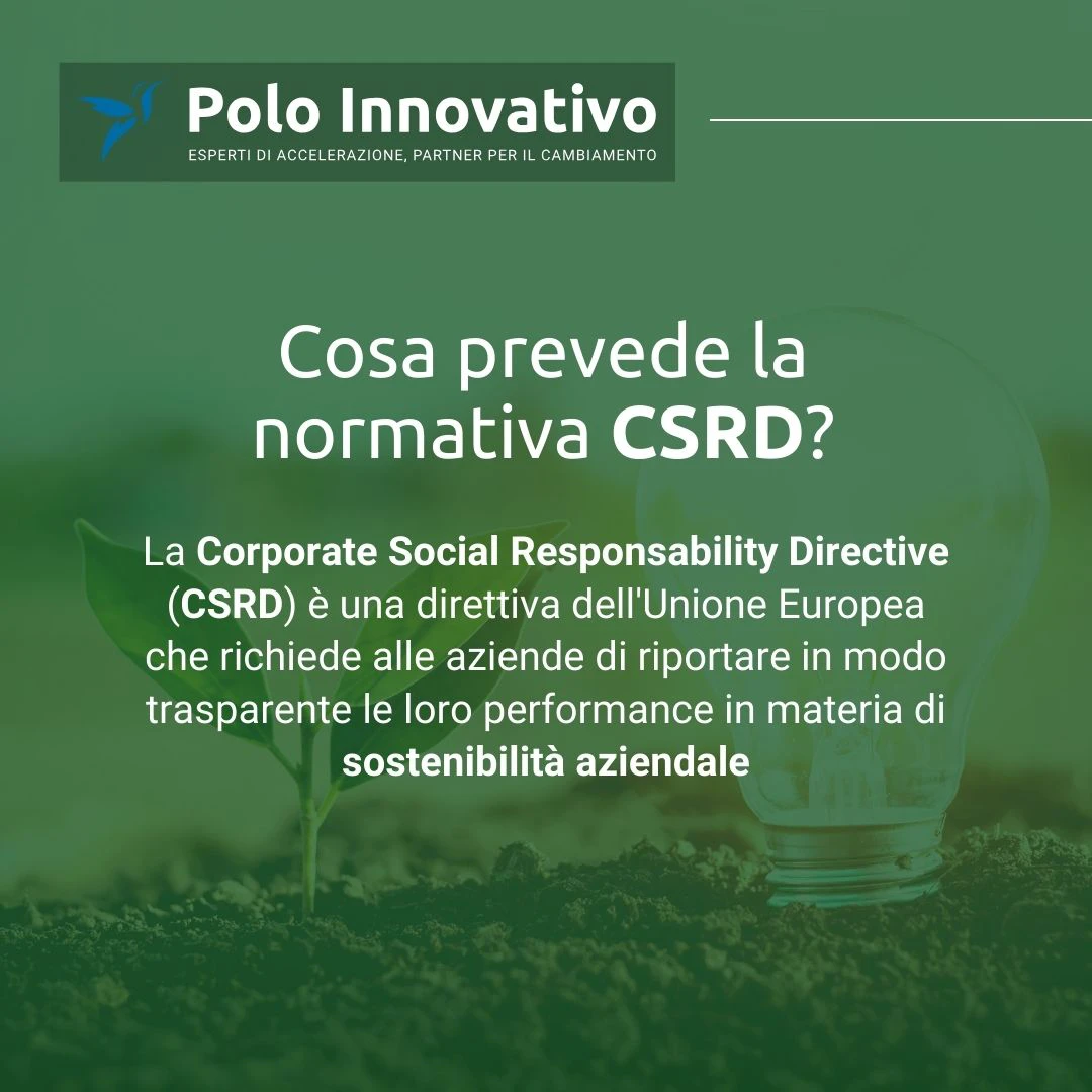 Cosa prevede la normativa CSRD per i CSRD Auditors - Polo Innovativo