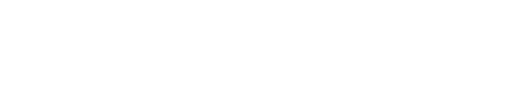 Diana Logo