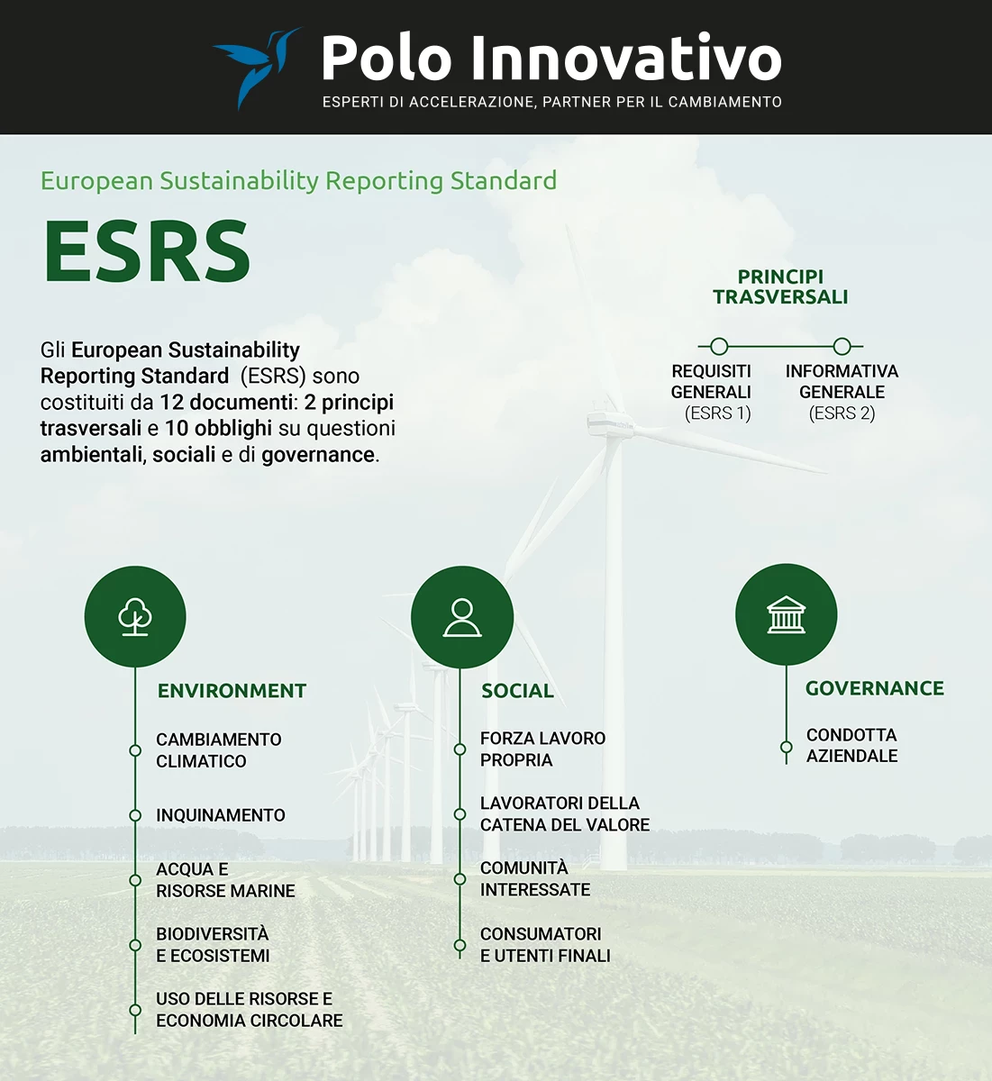 ESRS 12 Standards: cosa sono - Polo Innovativo